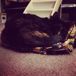 Photo Aug 17, 7 27 34 AM