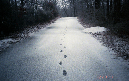 samuel quinn, photographer, panopticon gallery, footsteps