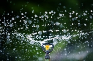 watersprinklerbysakhorn38