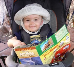 Save Money On A Disney World Vacation ©www.disneyworldenthusiast.com