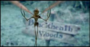 The Faeries of Blackheath Woods; don't go alone!