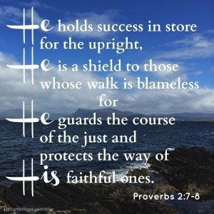 Proverbs 2:7-8 on Pinterest