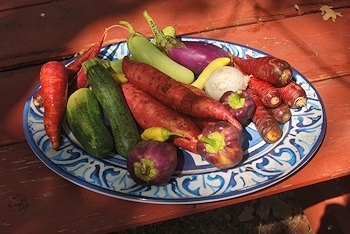 Vegetables-co-op-StDavids