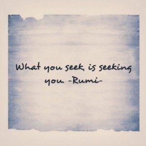 What_you_seek