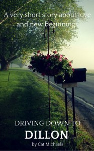 Driving to Dillon by Cat Michaels