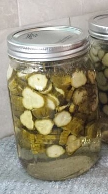 10391383_10152185116886875_2811516843034580294_n