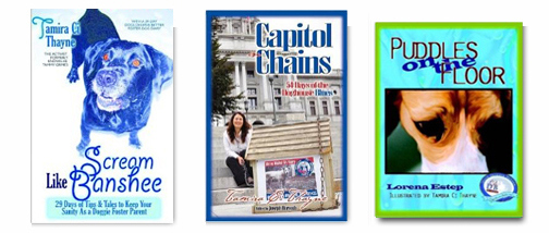 Scream Like Banshee .......... Capitol Chains .......... Puddles on the Floor