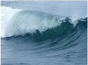 Screenshot 8:21:14 12:03 PM