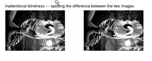 Inattentional blindness