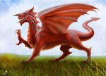 Any excuse to show y Draig Goch, the Welsh dragon!