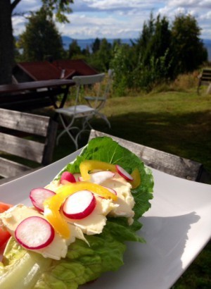 Lunch med lokala råvaror och utsikt över Siljan och bergen.
