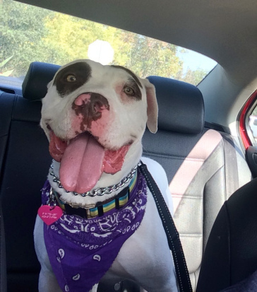 Life's too precious not to smile.