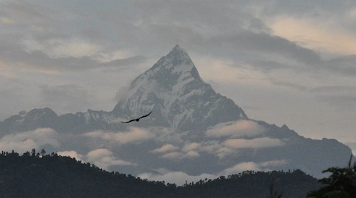 148544_453708888223_3743967_n