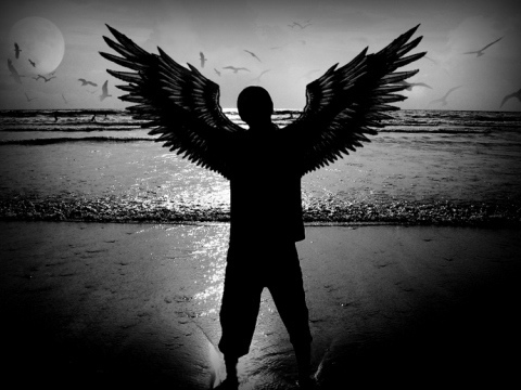 SAMSUNG DIGIMAX A403