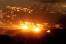  photo suns_zps645237d5.jpg