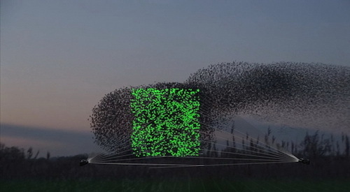 swarm.jpeg