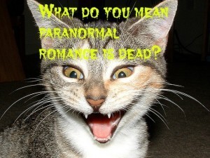 Photo by Kristin Nador