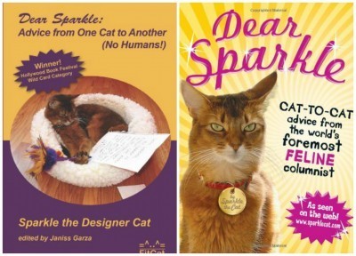 Sparkle_the_Designer_Cat