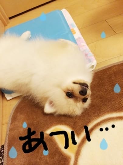 {0B193B2F-6801-469F-A55F-93F92B9D7116:01}