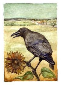 Summer crow by Rima
