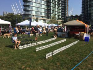 The pre-race turf
