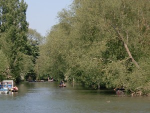 Isis Towpath_punts on Cherwell