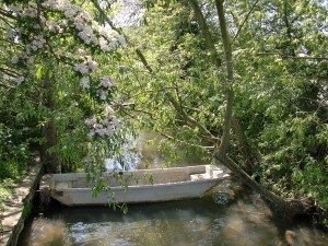 Isis Towpath_tranquil brook