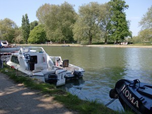 Isis Towpath_white dog