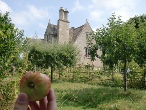 Kelmscott - apple thief