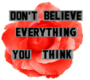 dont believe everything u think
