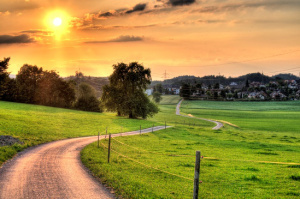 winding-path
