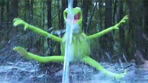 314x177-kermit-ice-bucket-challenge