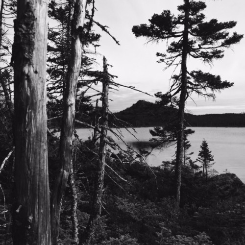 berry-hill-duchemin-2