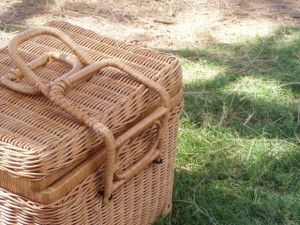 picnic choices for renal diets