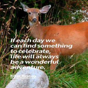 imagequote deer celebrate