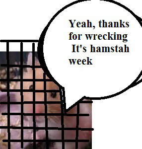 zhamstawe79iii99900um