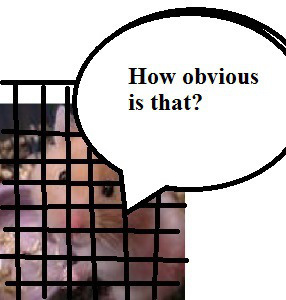 zhamstawe79iii99900000