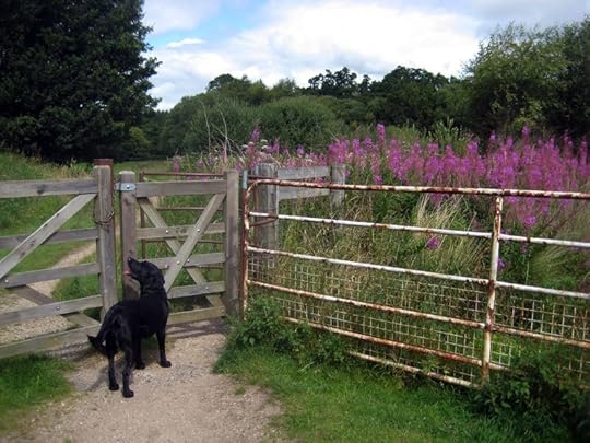Commons Gate, late summer