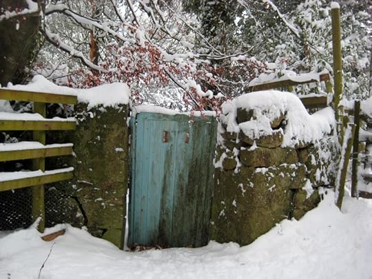 Blue gate, winter