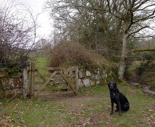 Lower O'er Hill Gate, late winter/early spring