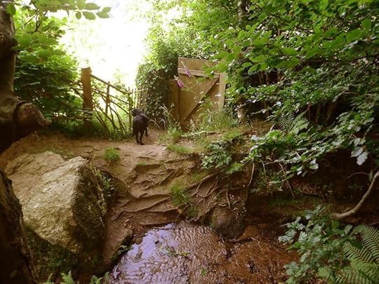 Gate behind the studio, spring