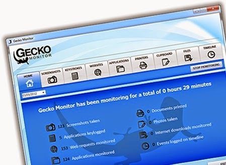 Gecko Monitoring 