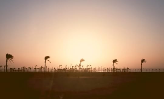 What’s the Point of All this Futility?