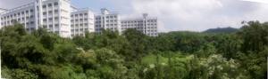 Guangdong Ocean University, Zhanjiang China