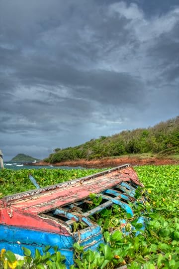 Sadly Neglected & Abandoned Vessels | Lis'Anne Harris