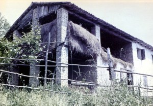 img448