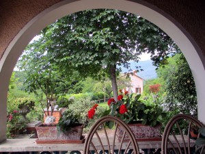 IMG_1121