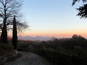 Apricot sky
