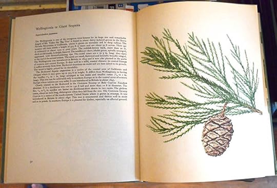 inside-book