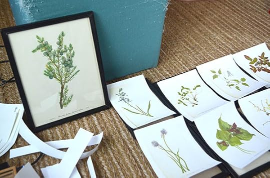 framing-prints